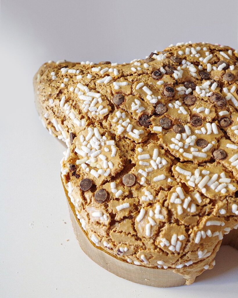 Colomba fatta in casa